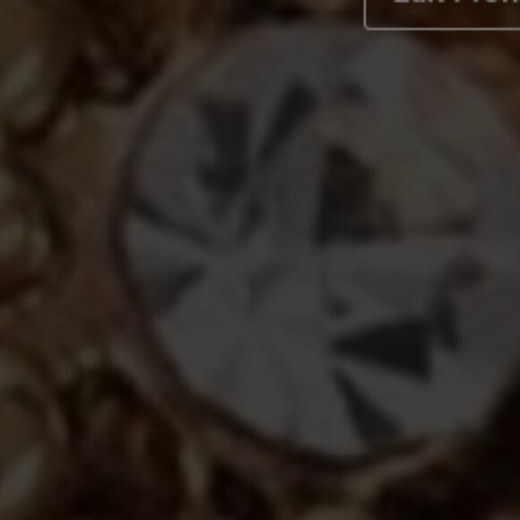 Laundry by Shelli Segal LEATHER SATCHEL - Picture 15 of 15